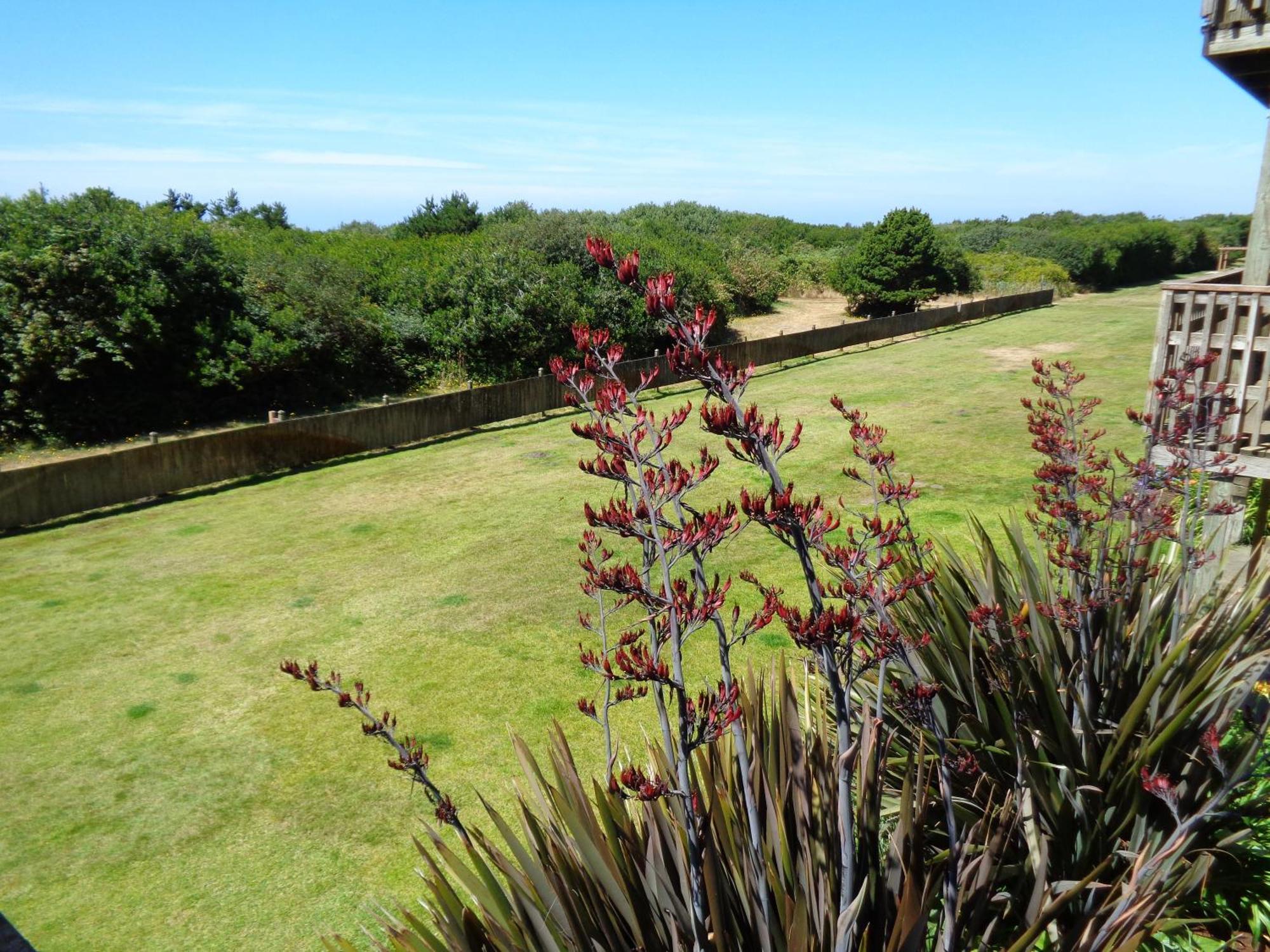 The Polynesian Resort Ocean Shores Luaran gambar