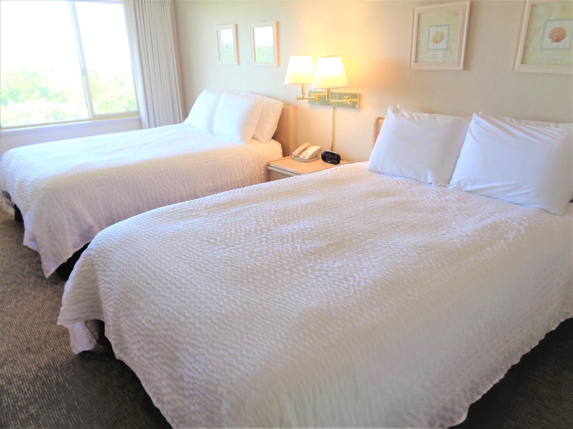 The Polynesian Resort Ocean Shores Bilik gambar